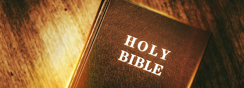 bible-doctrine